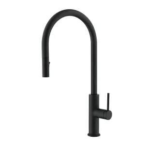 DAX Single Handle Pull Down Kitchen Faucet Matt Black Finish (DAX-8020058)